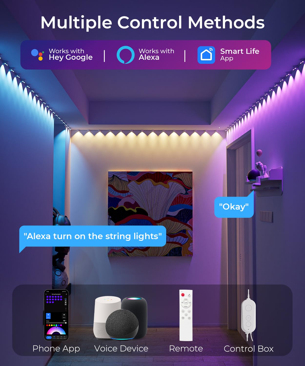 SMAVISTA Smart RGBW+IC String Downlights – 20ft Mood Lighting with 111 Scenes